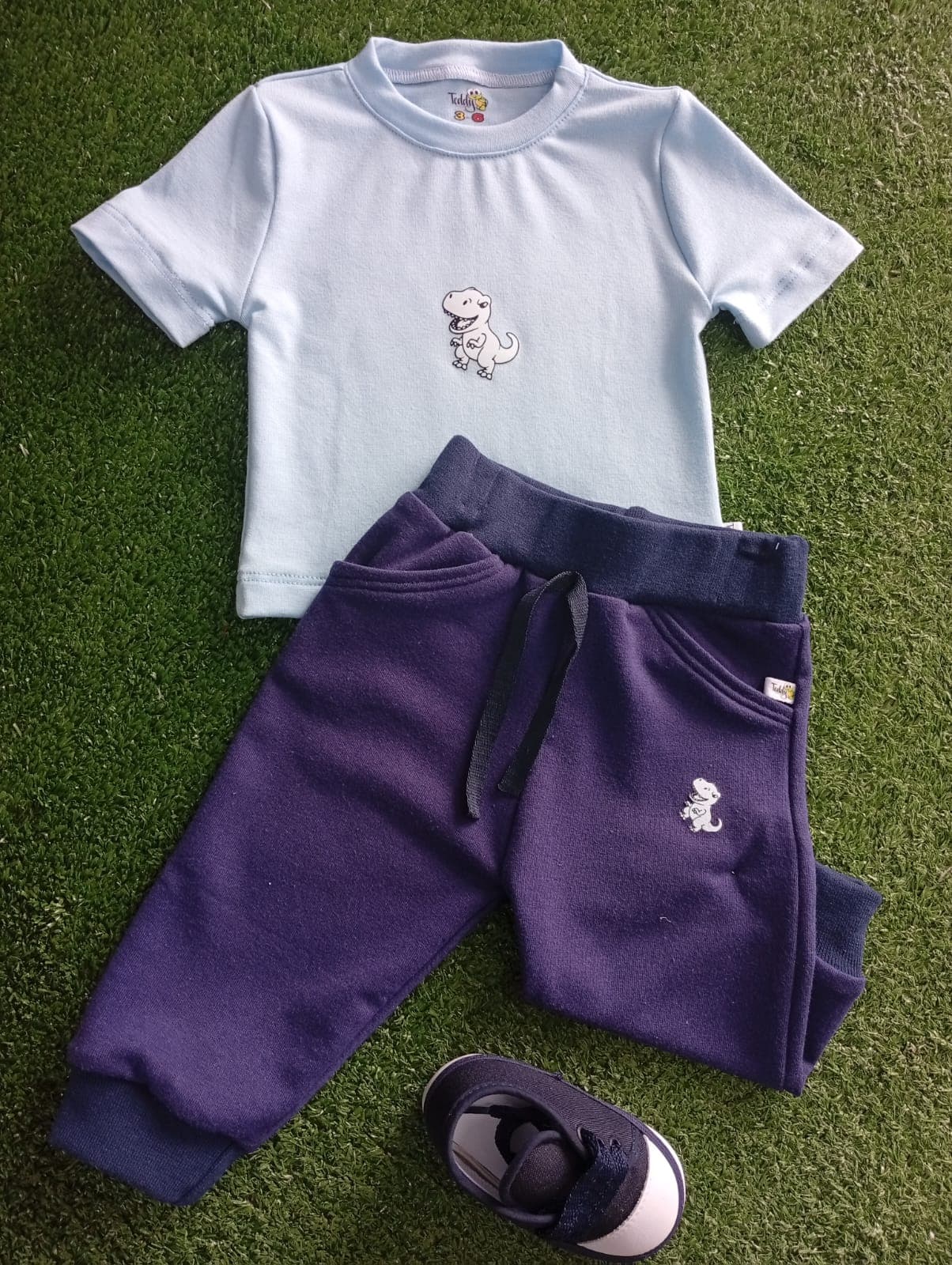 Conjunto Dinosaurio Celeste - imagen 1